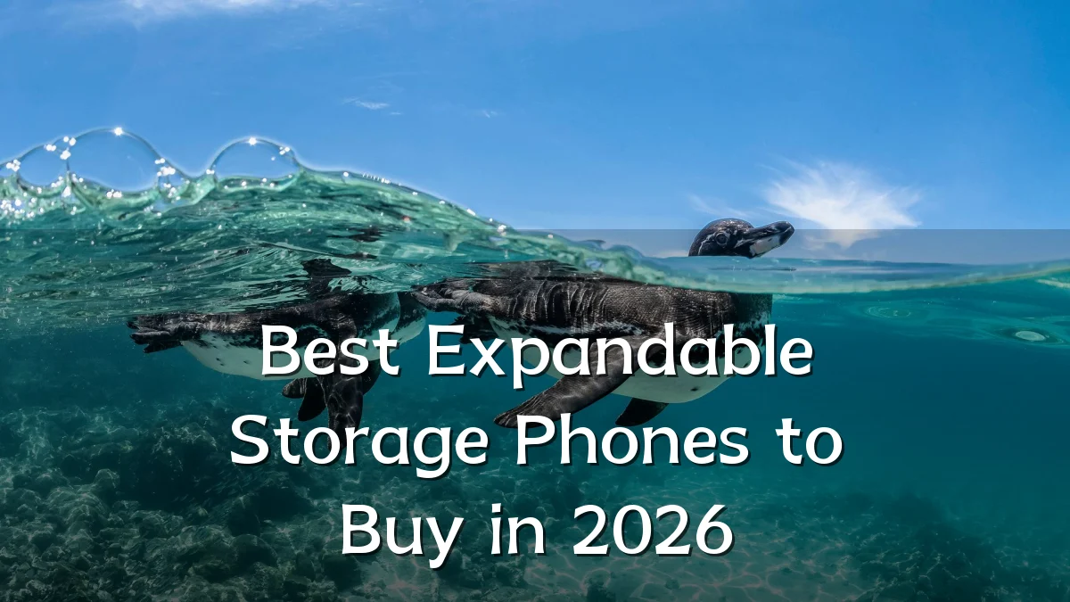 Best Expandable Storage Phones to Buy in 2026