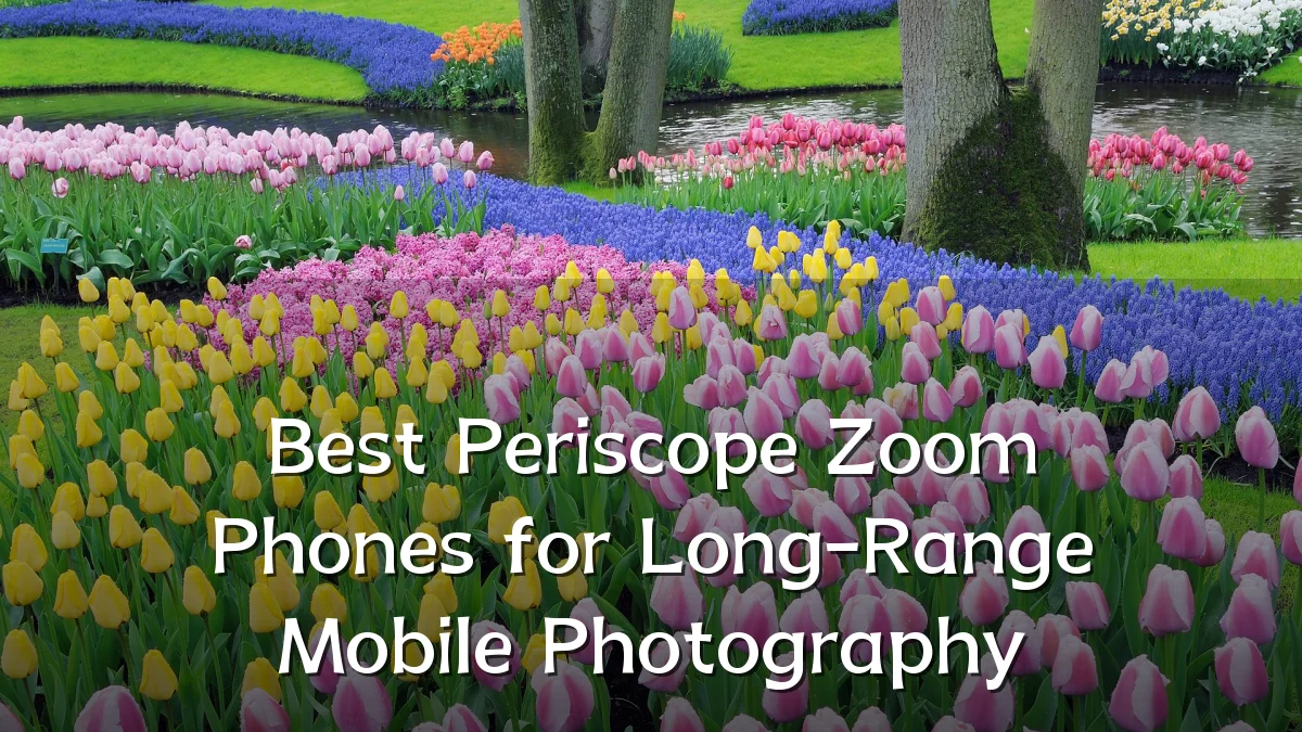 Best Periscope Zoom Phones for Long-Range Mobile Photography