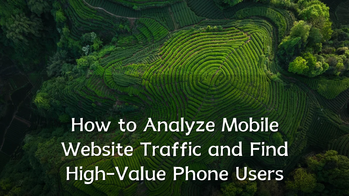 How to Analyze Mobile Website Traffic and Find High-Value Phone Users