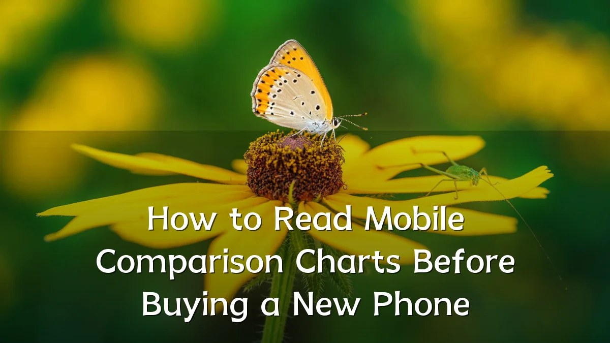 How to Read Mobile Comparison Charts Before Buying a New Phone