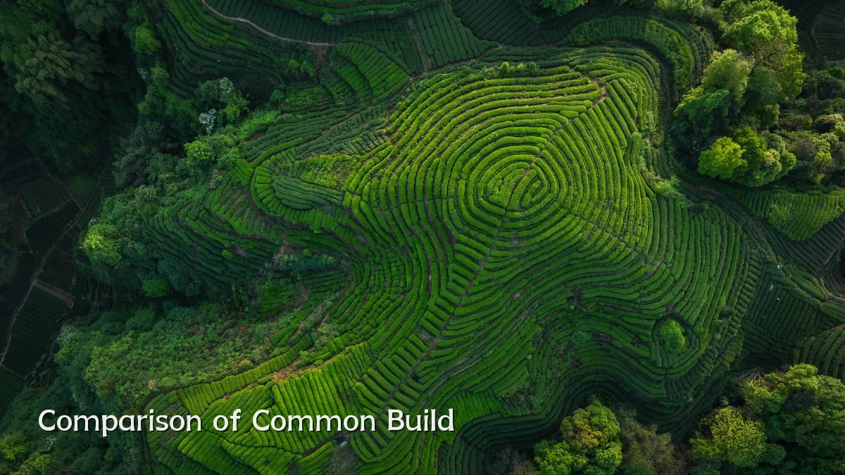 Comparison of Common Build
