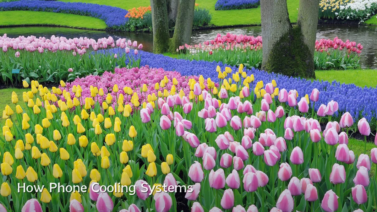 How Phone Cooling Systems
