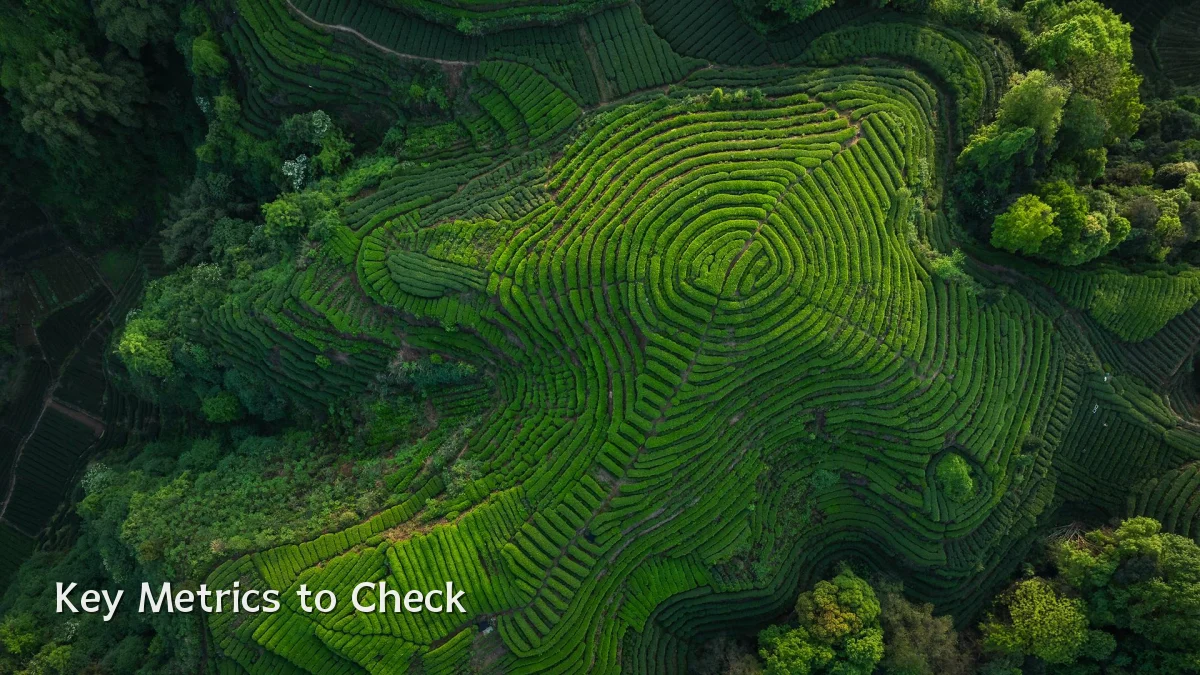 Key Metrics to Check