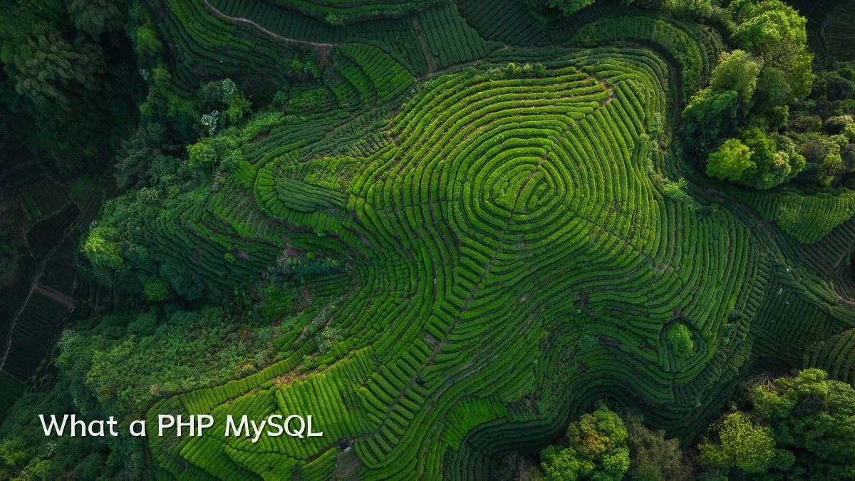 What a PHP MySQL