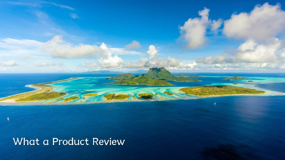 What a Product Review