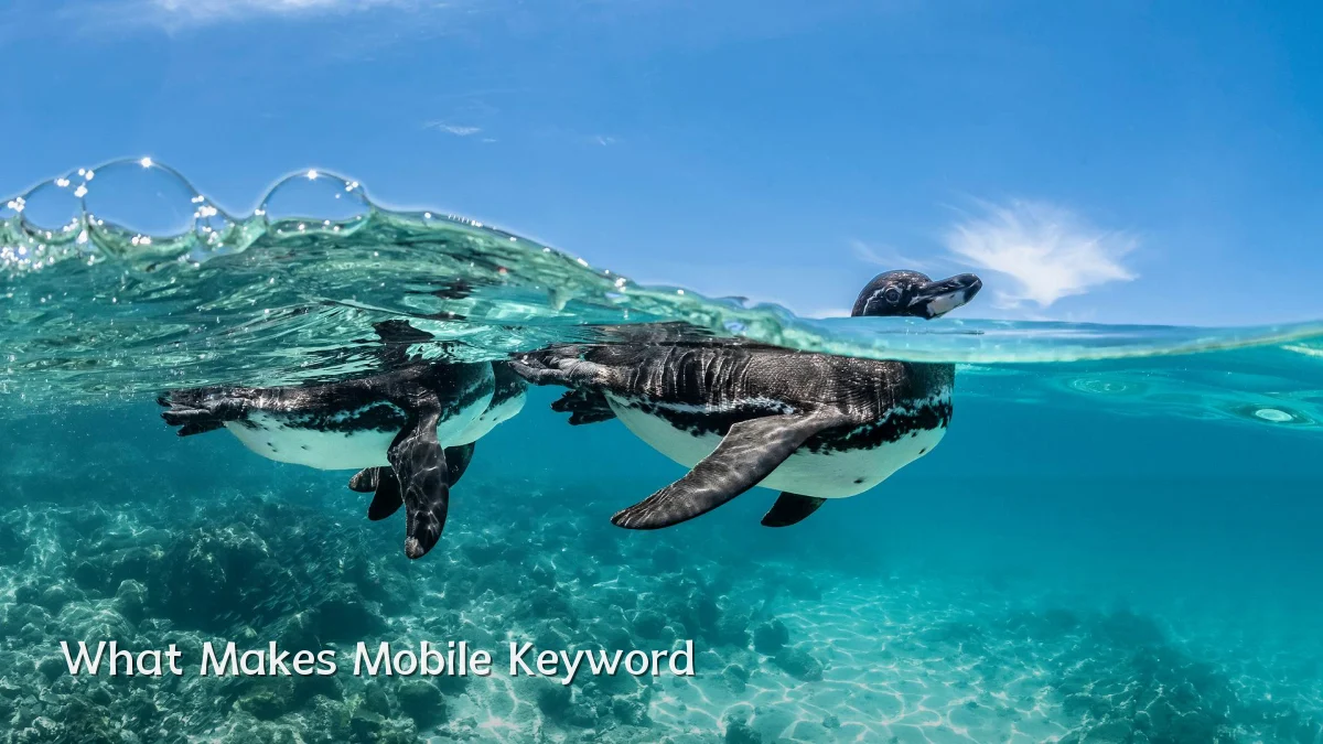 What Makes Mobile Keyword