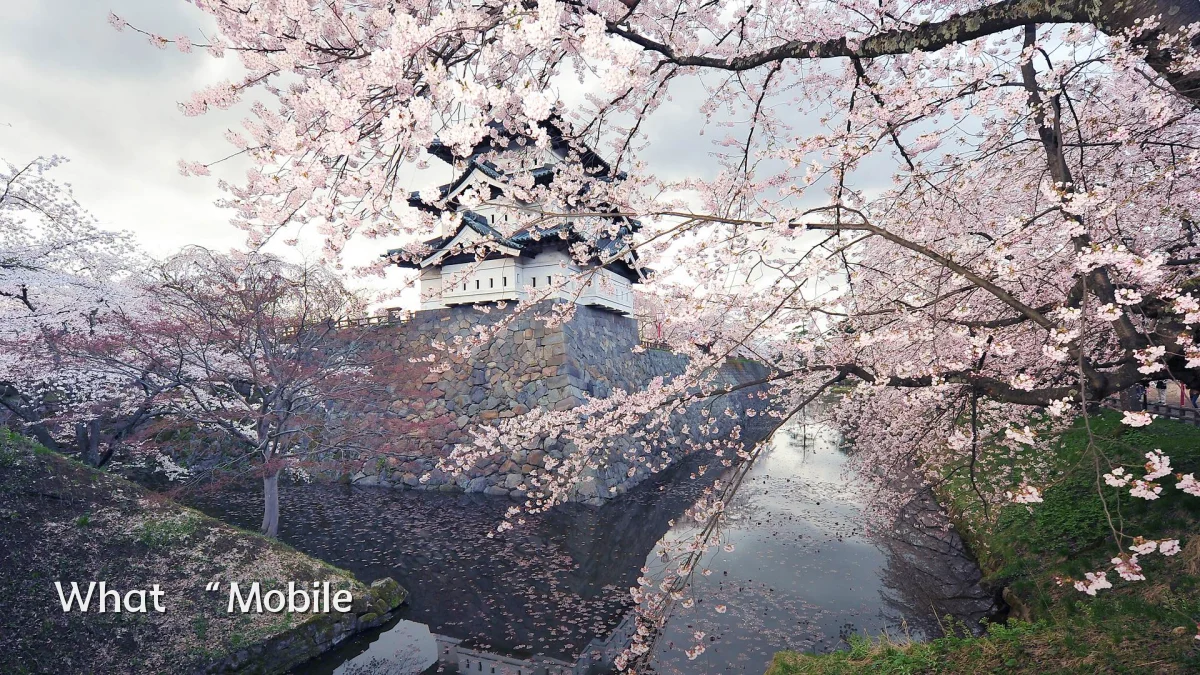 What “Mobile
