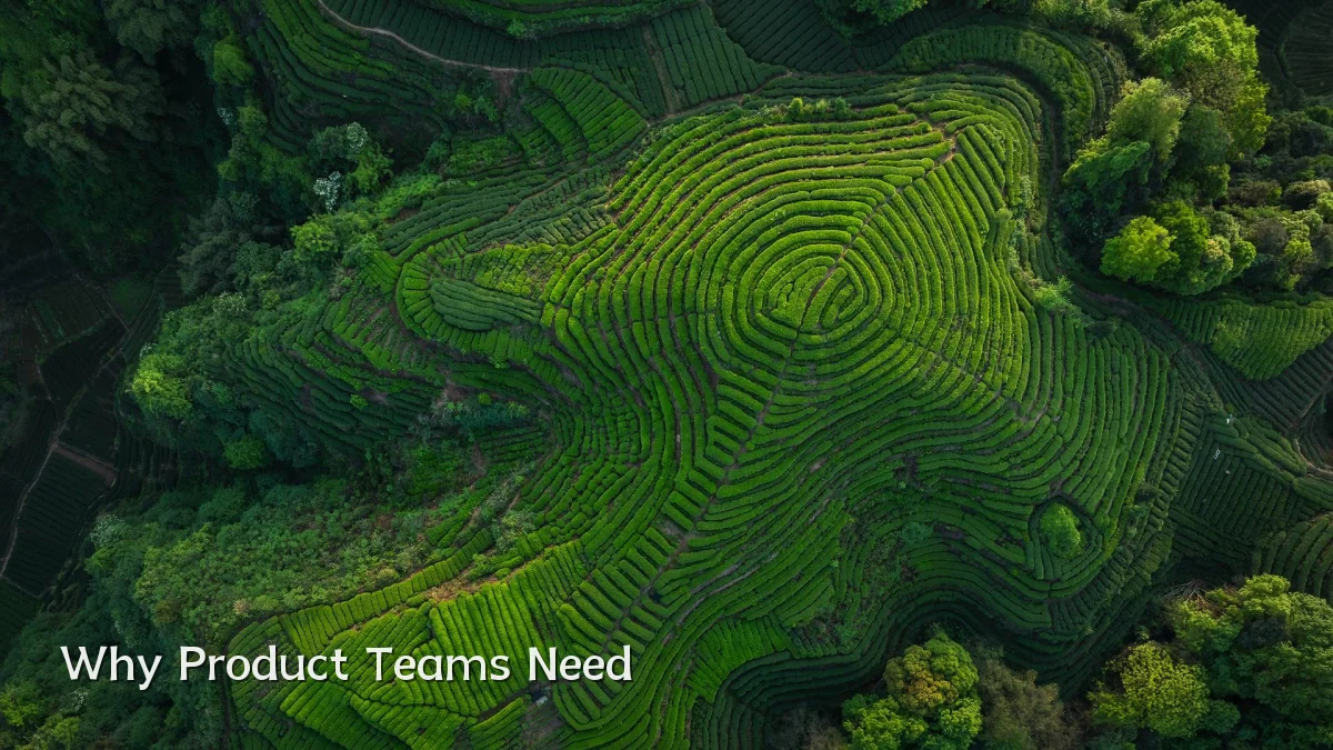 Why Product Teams Need