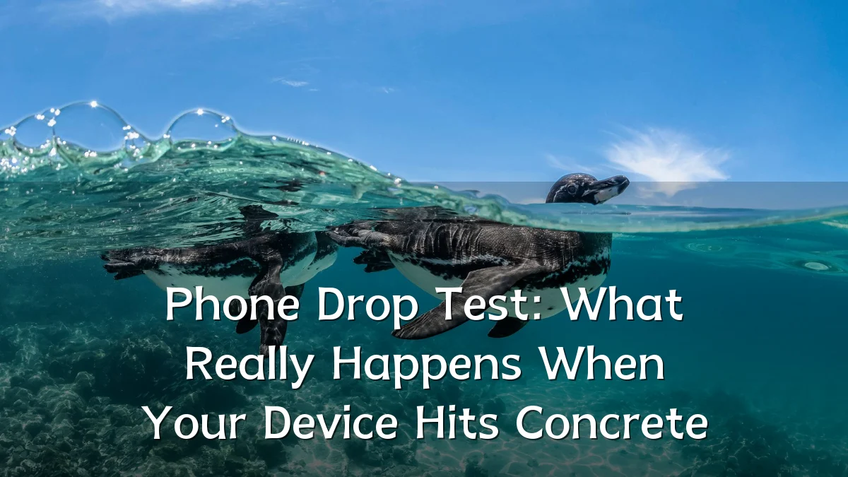 Phone Drop Test: What Really Happens When Your Device Hits Concrete