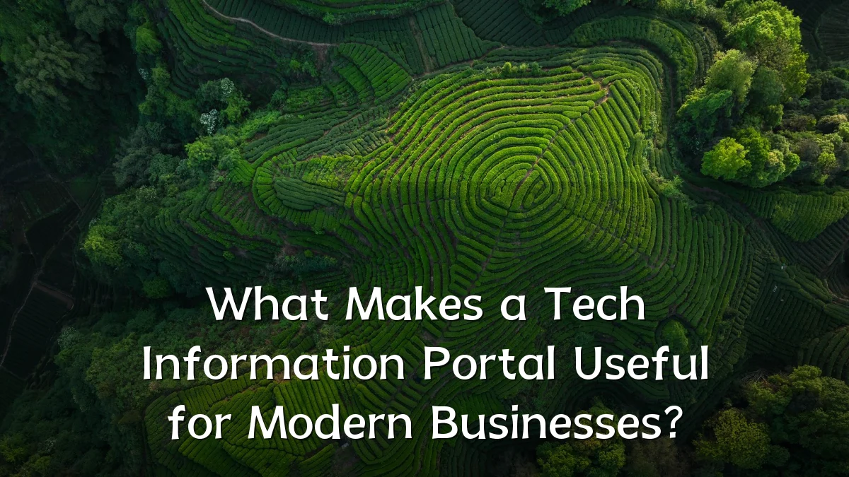 What Makes a Tech Information Portal Useful for Modern Businesses?