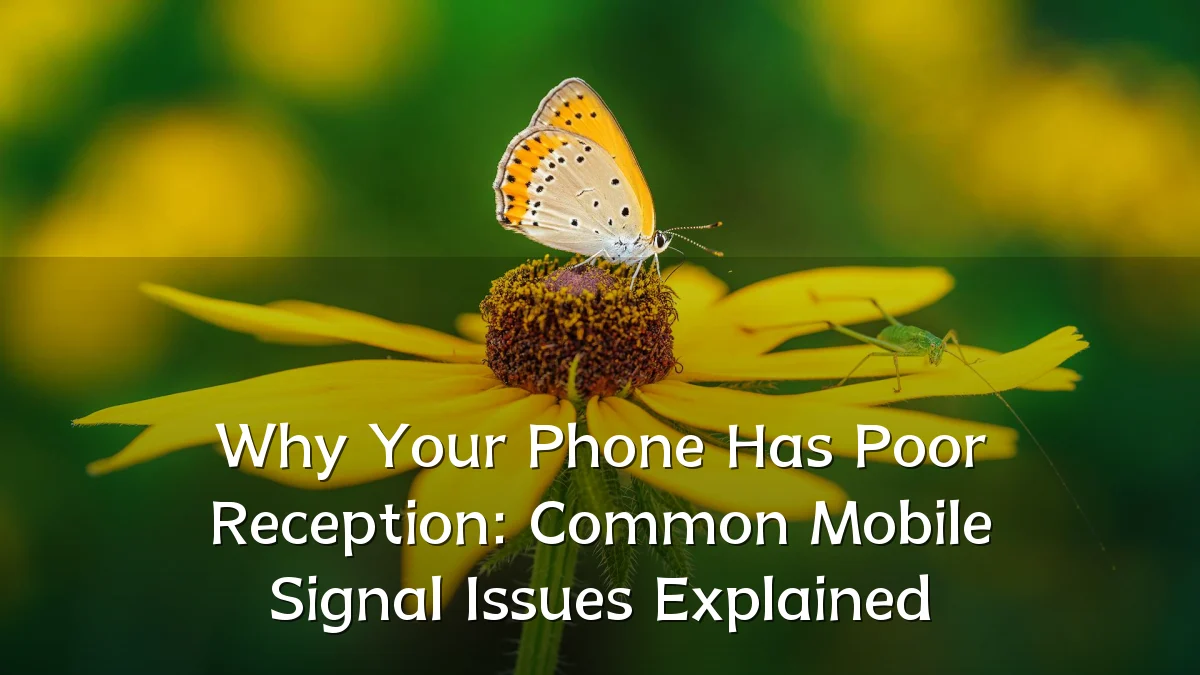 Why Your Phone Has Poor Reception: Common Mobile Signal Issues Explained
