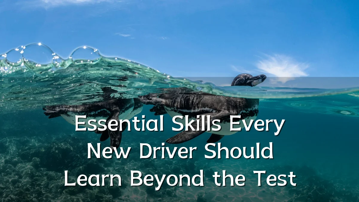 Essential Skills Every New Driver Should Learn Beyond the Test