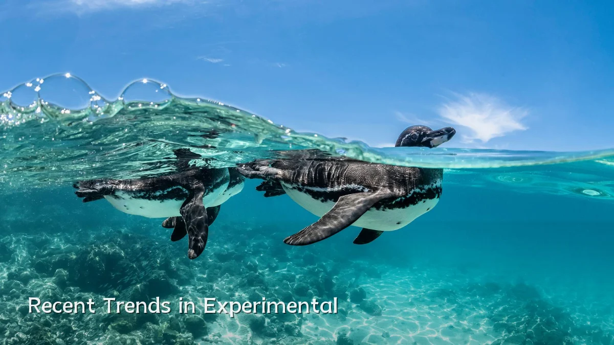 Recent Trends in Experimental