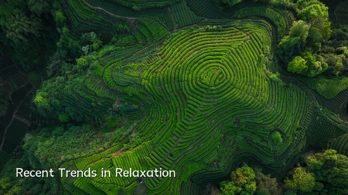 Recent Trends in Relaxation