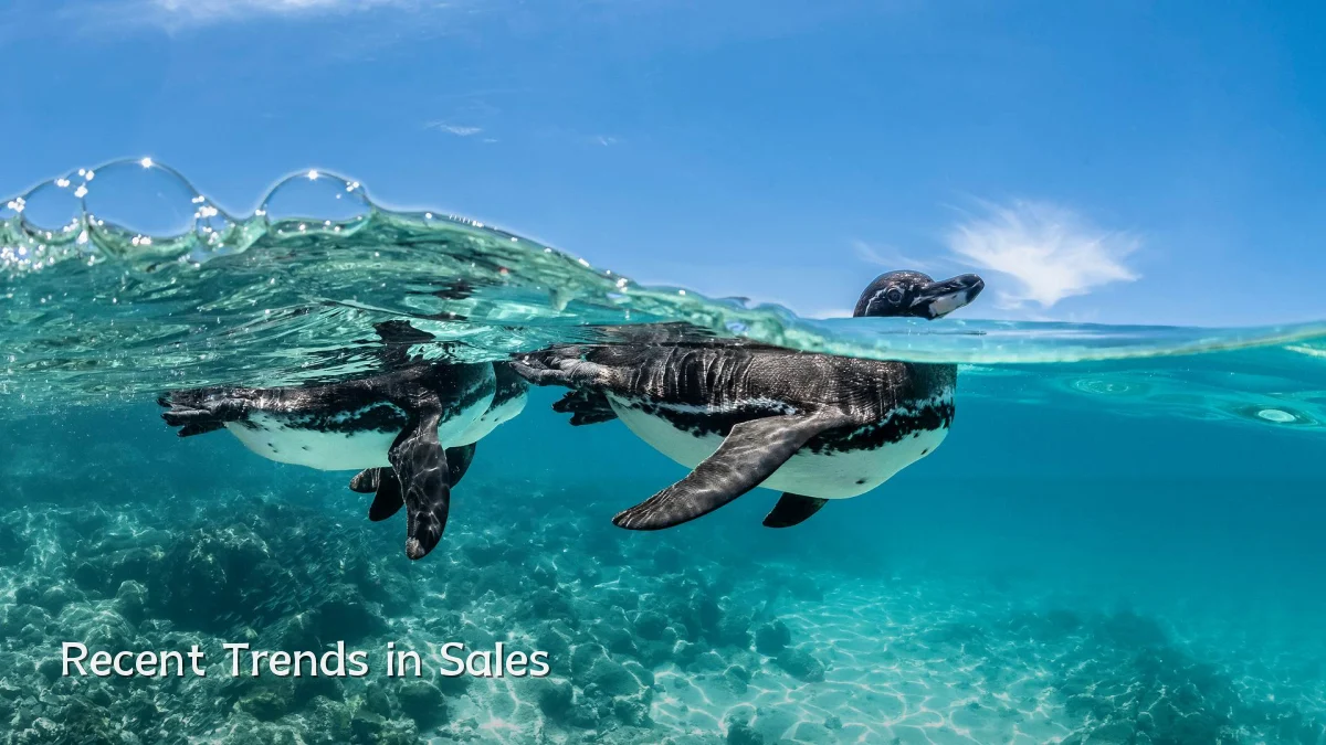 Recent Trends in Sales