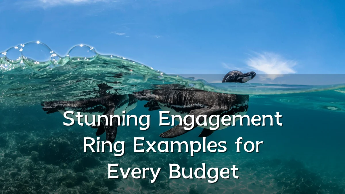 Stunning Engagement Ring Examples for Every Budget
