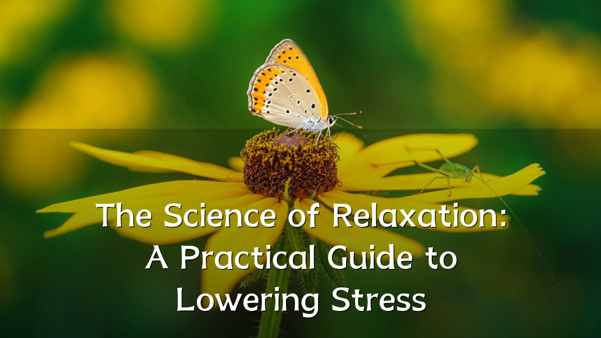 The Science of Relaxation: A Practical Guide to Lowering Stress