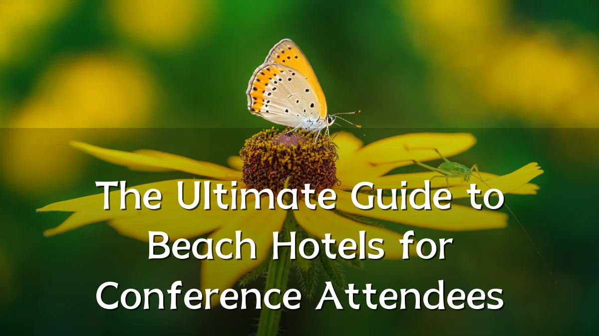 The Ultimate Guide to Beach Hotels for Conference Attendees