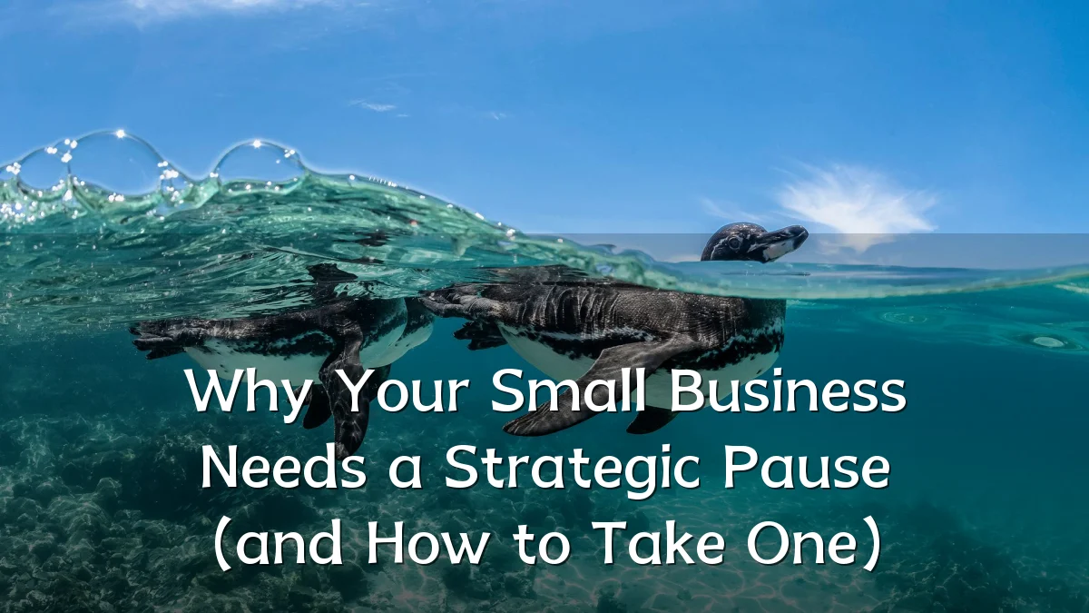 Why Your Small Business Needs a Strategic Pause (and How to Take One)