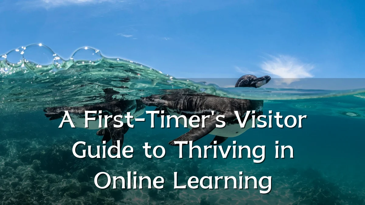 A First-Timer's Visitor Guide to Thriving in Online Learning