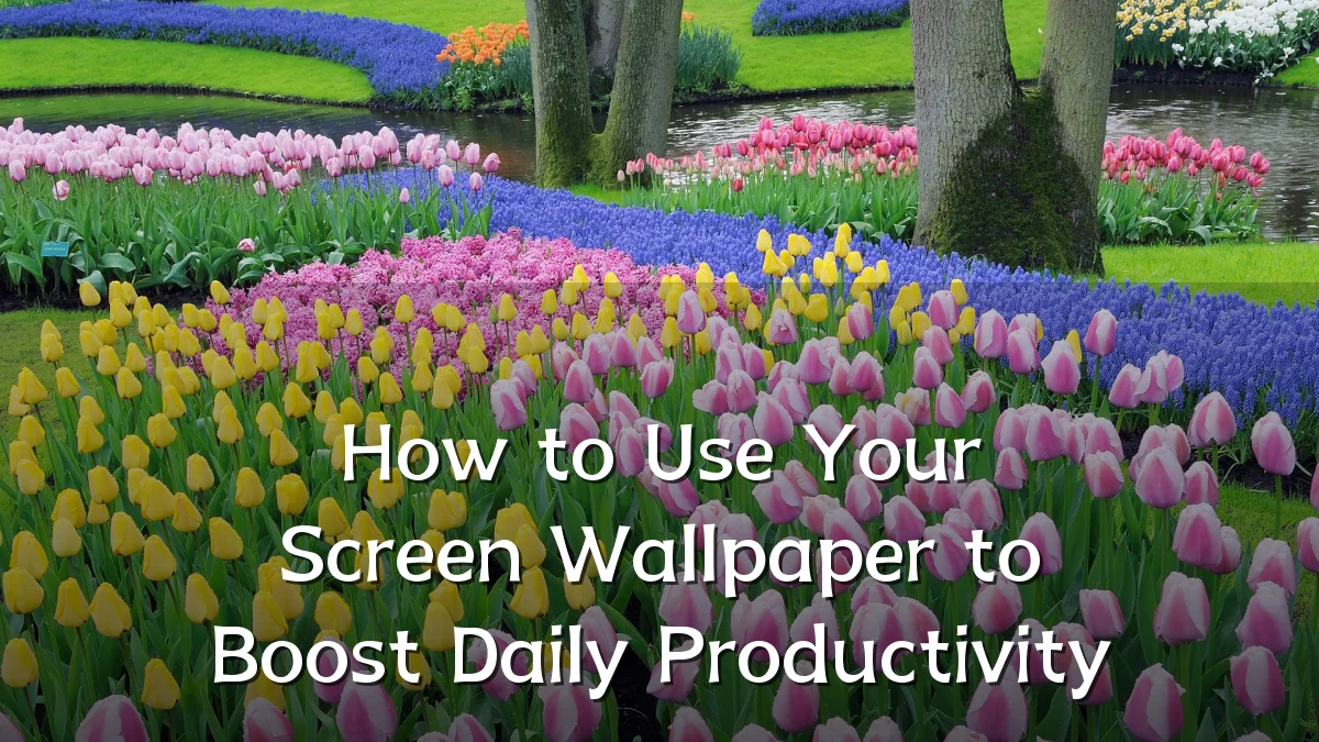 How to Use Your Screen Wallpaper to Boost Daily Productivity