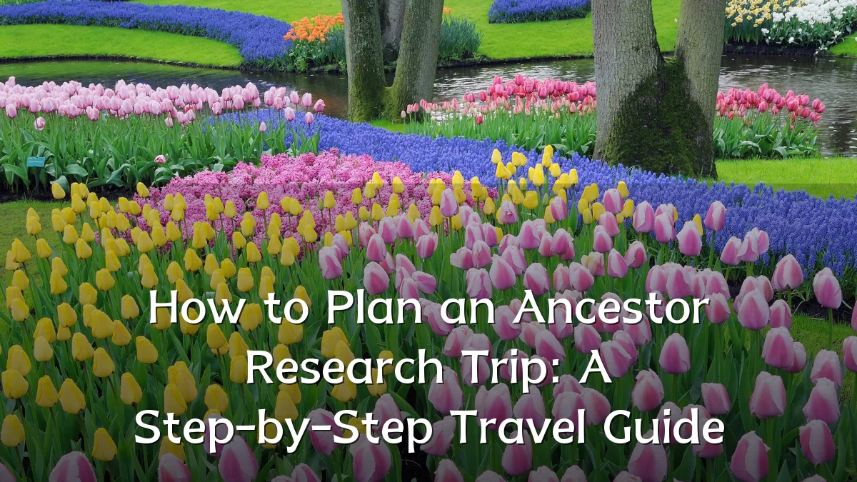 How to Plan an Ancestor Research Trip: A Step-by-Step Travel Guide